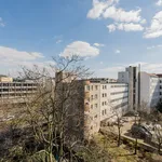 Rent 1 bedroom apartment of 38 m² in Berlin