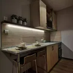 Rent 1 bedroom apartment in Madrid