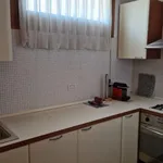 Rent 1 bedroom house of 65 m² in Rovigo