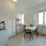 Rent 1 bedroom apartment of 30 m² in Milano