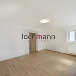 Rent 4 bedroom apartment of 90 m² in České Budějovice