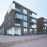 Rent 2 bedroom apartment of 85 m² in Utrecht