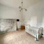 Rent 2 bedroom apartment of 45 m² in Torino