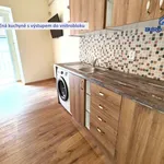 Rent 4 bedroom apartment of 110 m² in Plzeň