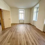 Rent 3 bedroom apartment of 63 m² in Pilsen