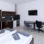 Rent 1 bedroom apartment of 27 m² in Brno