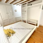 Alquilo 1 dormitorio apartamento de 40 m² en Casco histórico