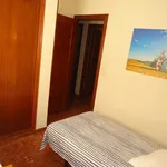 Rent a room in cordoba