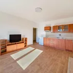 Rent 1 bedroom apartment of 31 m² in Pilsen