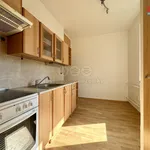 Rent 2 bedroom apartment of 55 m² in Ostrava