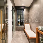 Rent 3 bedroom apartment of 177 m² in Zagreb