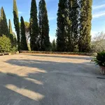 Rent 2 bedroom apartment of 50 m² in Florence