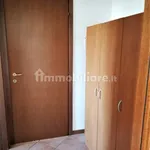 Rent 2 bedroom apartment of 40 m² in Piacenza