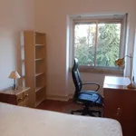 Rent 5 bedroom apartment in Lisbon