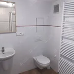 Rent 1 bedroom apartment in Hradec Králové