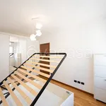 Rent 2 bedroom apartment of 65 m² in Milano