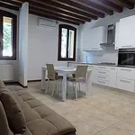 Rent 3 bedroom apartment of 83 m² in Padua