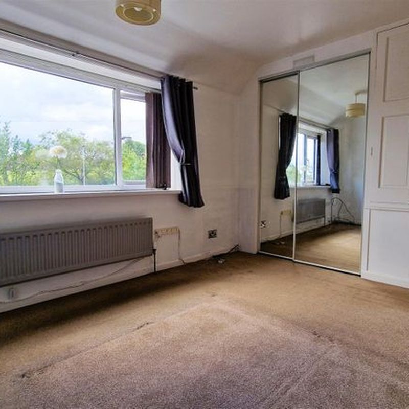 Semi-detached house to rent in Winrose Grove, Leeds LS10 Woodhouse Hill