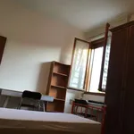 Rent a room in Bologna