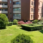 Rent 5 bedroom apartment of 230 m² in Vedano al Lambro