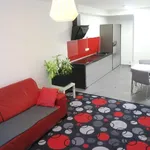 Rent 2 bedroom apartment of 62 m² in Brno