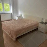 Rent 2 bedroom apartment of 85 m² in Budapest