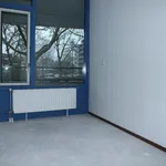 Rent 3 bedroom apartment of 111 m² in Papendrecht