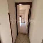 Rent 2 bedroom apartment of 65 m² in Roma