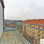 Rent 1 bedroom apartment of 33 m² in Praha