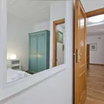 Rent 1 bedroom apartment in Rome