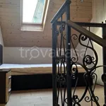 Rent 2 bedroom apartment of 50 m² in Torino