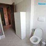 Rent 1 bedroom apartment of 30 m² in Novara