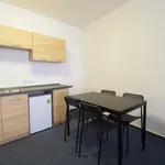 Rent 1 bedroom apartment in Brno