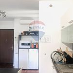 Appartamento in Affitto San Donato Milanese 33491162-52 | RE/MAX Italia