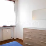 Rent 2 bedroom apartment of 35 m² in Pisa