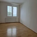 Pronajměte si 3 ložnic/e byt o rozloze 68 m² v Stříbro