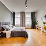 Rent 1 bedroom apartment in Praha 3