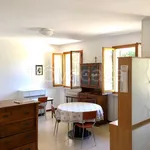 Rent 1 bedroom apartment of 40 m² in Urbino