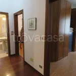 Rent 4 bedroom apartment of 100 m² in Bologna