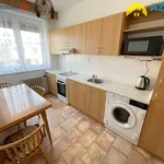 Rent 4 bedroom apartment in Radslavice