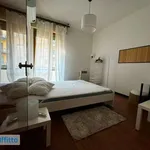 Rent 3 bedroom apartment of 60 m² in Bologna