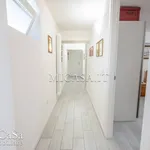 Rent 4 bedroom apartment of 80 m² in Pisa