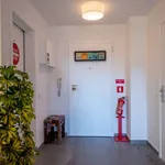 Rent 1 bedroom apartment of 50 m² in lisbon