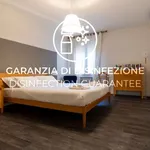 Rent 1 bedroom apartment of 62 m² in bologna