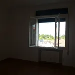 Rent 4 bedroom apartment of 110 m² in Treviso