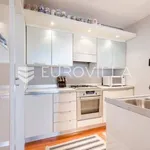 Rent 3 bedroom apartment of 100 m² in Zagreb