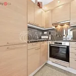 Rent 2 bedroom apartment of 498 m² in Praha