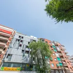 Alquilo 1 dormitorio apartamento de 65 m² en Madrid