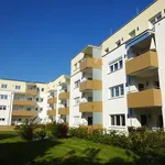 Rent 3 bedroom apartment of 82 m² in Gallneukirchen