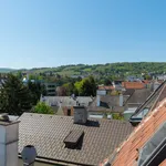 Rent 1 bedroom apartment of 160 m² in Klosterneuburg